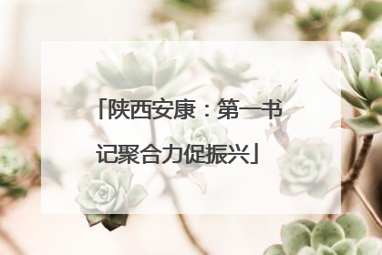 陕西安康：第一书记聚合力促振兴